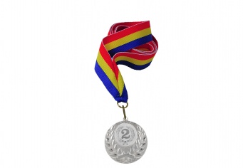 Medalie Locul 2 argint